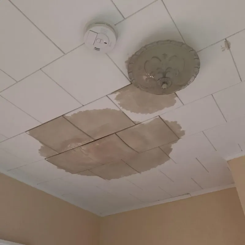 Ceiling Water Damage Repair in Robins Air Force Base, GA
