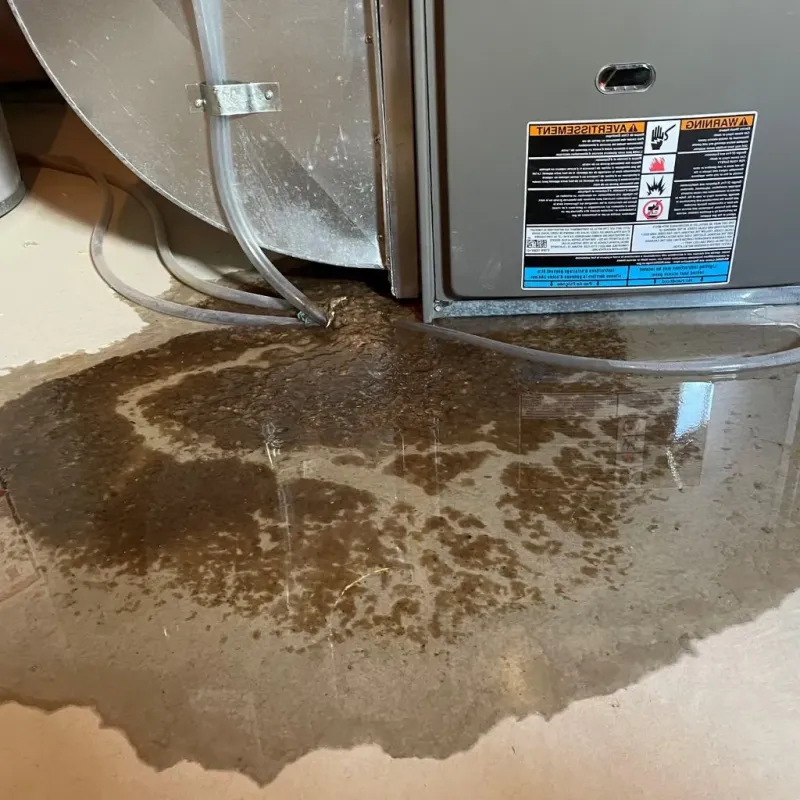 Pipe Burst and Leak Restoration in Robins Air Force Base, GA